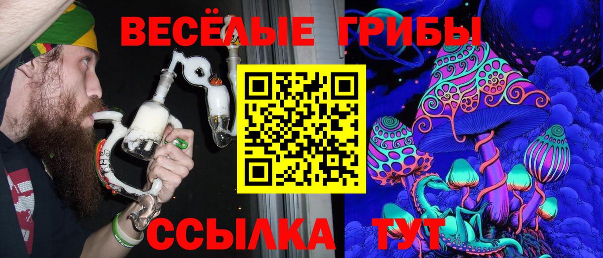 продажа наркотиков  Галлюциногенные грибы Cubensis  Пушкино  Вход с VPN  Псилоцибиновые грибы прущие грибы 