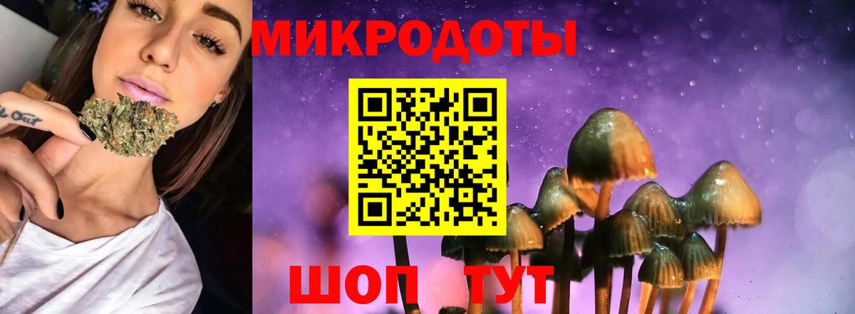 Псилоцибиновые грибы мицелий Пушкино