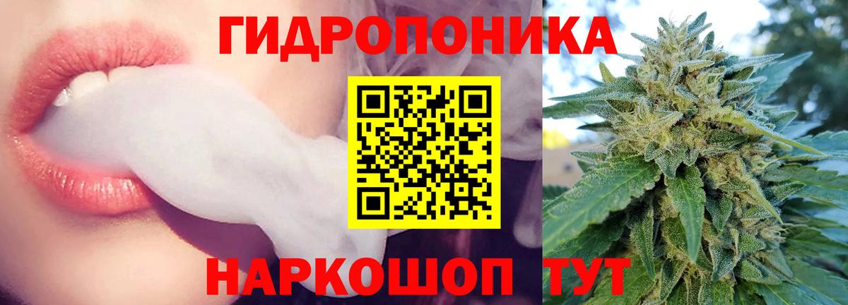 Бошки Шишки THC 21%  Вход с VPN  Пушкино  Бошки Шишки MAZAR 